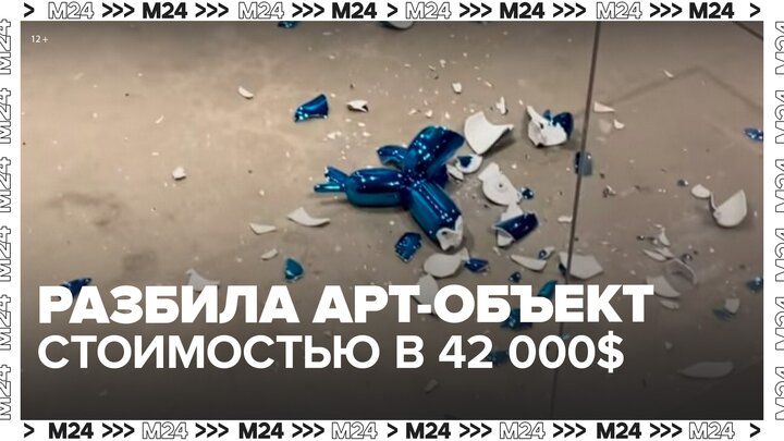 Посетительница галереи разбила арт-объект стоимостью в 42 тыс долларов в США - Москва 24