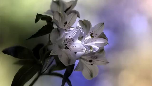 📗Роберт АДАМС📖📖Ты - Ничто📗 #Аудиокнига смотреть онлайн