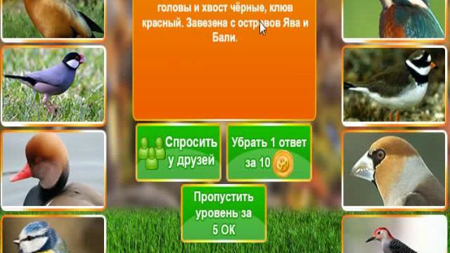 В мире животных. Ответ на 11, 12, 13, 14, 15 уровне. смотреть онлайн