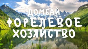 РЫБАЛКА, ПОЙМАЛИ ФОРЕЛЬ В ПОСЁЛКЕ ДОМБАЙ, ФОРЕЛЕВОЕ ХОЗЯЙСТВО ТЕБЕРДА