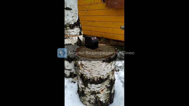 Дубрава Лесник (Чекан) 6.35 разборка часть 4 финал. смотреть онлайн