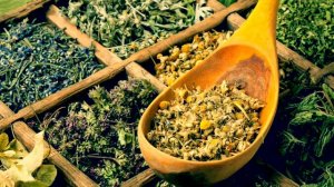 Репешок - чудо трава