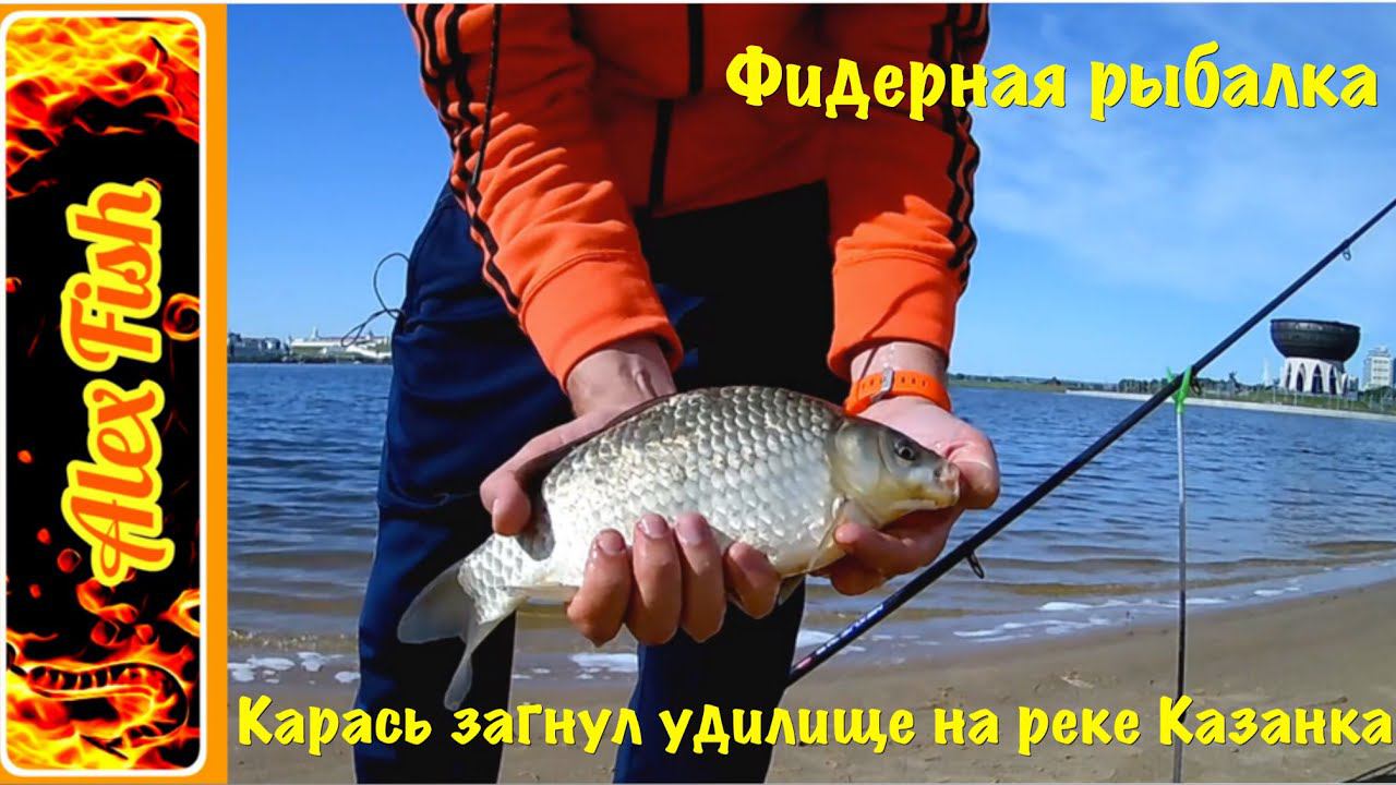 Фидерная рыбалка. Карась загнул удилище на реке Казанка!!!!!