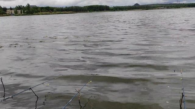 Ловля карася 2021 / Крупный карась на пенопласт / Лучшая прикормка на карася это каша! смотреть онлайн