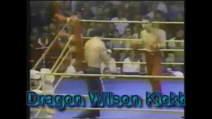 МОИ  ЗВЕЗДЫ VHS  ДОН ДРАКОН УИЛСОН  ( Don 'The Dragon' Wilson)