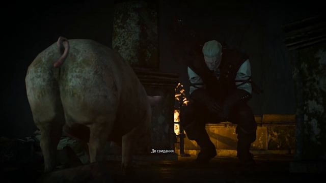 Интересный квест "Золото дураков" | Ведьмак 3: Дикая Охота смотреть онлайн