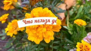 29 сентября День Людмилы. Что нельзя делать 29 сентября. Народные традиции и приметы и суеверия