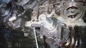 Побежало масло со стороны ГРМ на Тойота Королла