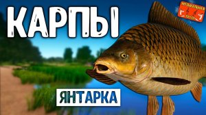 РР4/ рыбалка для души, ловим как универсал, общаемся 17.01.24