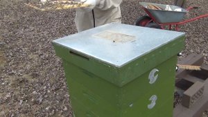 Утеплять, или не утеплять пчёл в зиму? [4/4] ИТОГИ эксперимента.