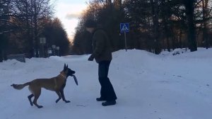 Малинуа Афи - "вольт от колена" и "вольт катапульта"