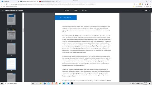 THE NEXT PANDEMIC SPARS 2025 - 2028 BY JOHNS HOPKINS смотреть онлайн