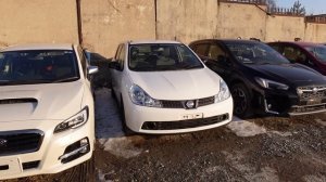 Павлов и Михеев - привезли 2й Лексус из Японии❗LEXUS❗SURF❗INSIGHT❗ACCORD❗STEP❗