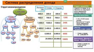 Маркетинг план Атоми. Успех в Атоми.
