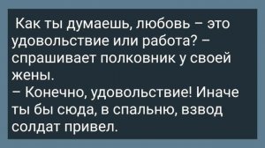 Старая Вдова Пригласила Соседа в Гости! Подборка Веселых Анекдотов! Юмор!