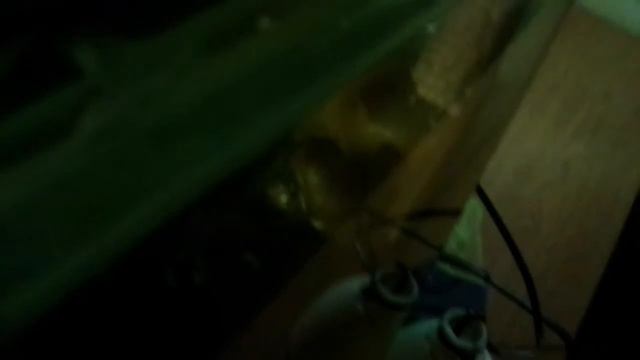 Аквариумная улитка откладывает яйца смотреть онлайн