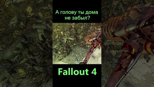 А голову ты дома не забыл? | Fallout 4 #Shorts