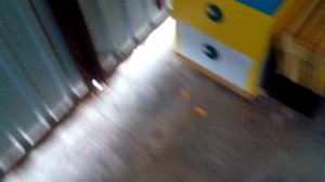 Борьба с восковой молью. Хранение сотовых рамок. Как избавиться от восковой моли.