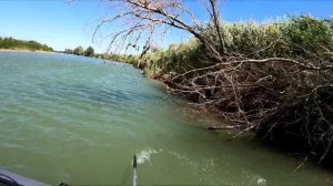 Рыбалка на реке КАРАТАЛ! Река где обитают трофеи. ПЯТЬ ДНЕЙ НА БЕРЕГУ!.. Август 2023 Сазан Жерех Со