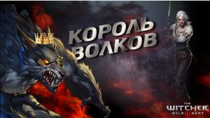 Прохождение The Witcher 3:Wild Hunt на PS 4 "История Цири Король Волков"