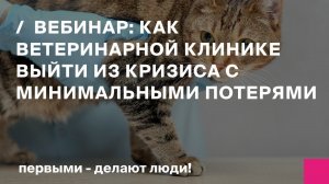 Как ветеринарной клинике сохранить постоянных клиентов и выйти из кризиса с минимальными потерями