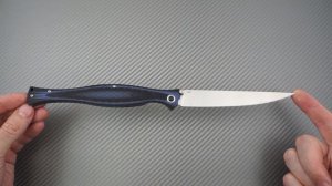 Складной филейный нож Reptilian "Лаврак" blue, сталь AUS8, краткий видео обзор и распаковка