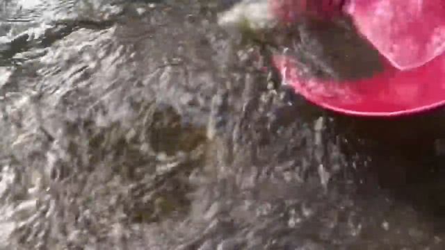 поиск золота, Старательский лоток Deepsees-15” Red GoldPan смотреть онлайн