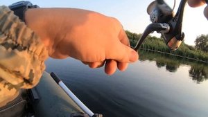 Красноперка на кузнечика. Как ловить на удочку с водоналивным поплавком