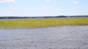 Nikon D3100 Тест видео съёмки №2.