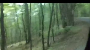 Серебряная беседка; по дороге на гору Ай Петри