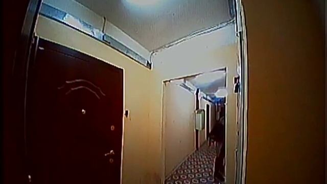 Поймали вора! / Caught a thief!
