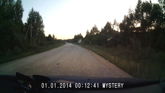 Кабаны на дороге Шанский завод - Износки 12.08.2018 смотреть онлайн