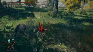 Вторжения ГОЛЫМ Elden Ring / Элден Ринг PvP за Мага