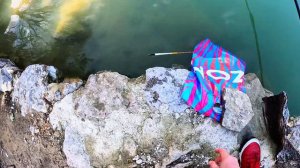 ▶️ Рыбалка на платном пруду в Ялте Озеро Ай-Василь Ловля карася на удочку с поплавком в Крыму 2024