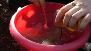 Кыш Вредитель - применение дегтярного пробиотического мыла