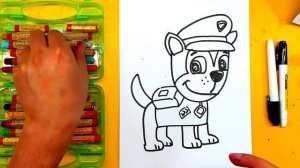 Рисуем ГОНЩИКА щенка из мультика Щенячий Патруль