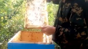 Сборка гнёзд в зиму! Как делаю я! Простой способ!