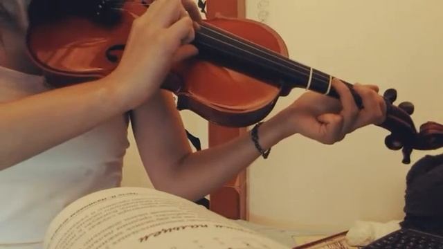 Puzzicatto violin - asia theme смотреть онлайн