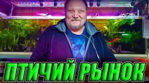 Птичий рынок Садовод! Цены на рыбок, растения и корма