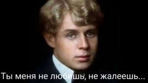 Сергей Есенин - Ты меня не любишь, не жалеешь…
