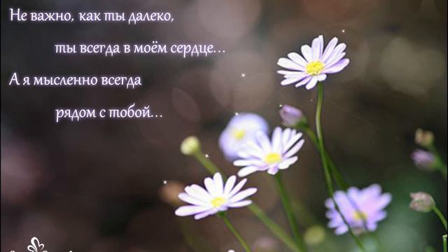 Ты всегда в моем сердце... смотреть онлайн