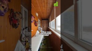 Обзор на квартиру на ул. Луначарского, г. Бор , Нижегородская область