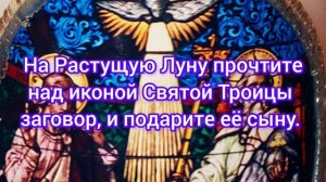 Если сын отвернулся от матери. Троица помирит.