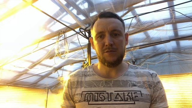 выход четвертого настоящего листа смотреть онлайн