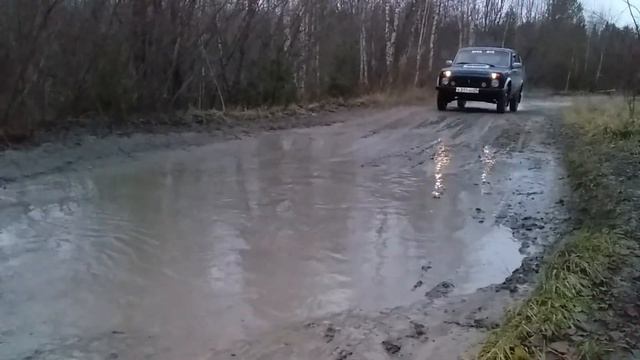 Лужа с сюрпризом смотреть онлайн