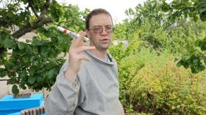 МЕТИМ МАТОК чем и как метить пчелиных маток