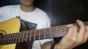 Daddario Phosphor Bronze . 010-.047 acoustic String.