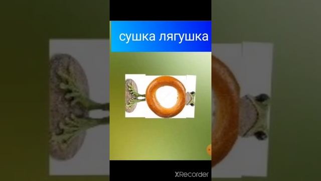 сушка лягушка смотреть онлайн