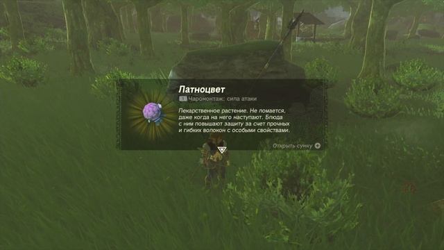 КОЛОДЦЕВЕД КАМНЕЛА | The Legend of Zelda: Tears of the Kingdom | Часть 14 смотреть онлайн