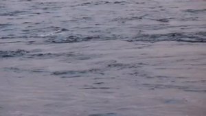 Река Сегежа.   Ловля форели на кораблик.